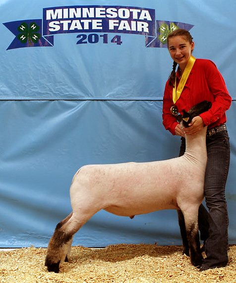 3440 Sheep Fifth Intermediate Showmanship Megtan Wiebe Cottonwood-L