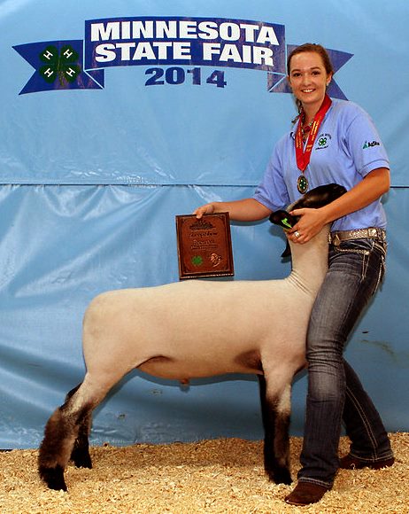 3529 Sheep Reserve Advanced Market Showmanship Melanie Adrian cottonwood-L (1)