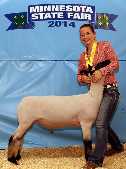 3539 Sheep Fifth Advanced Showmanship Jessie Wiebe Cottonwood-L the one