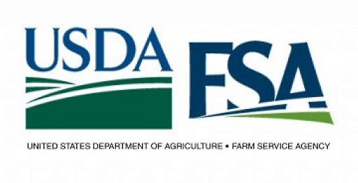 usda fsa