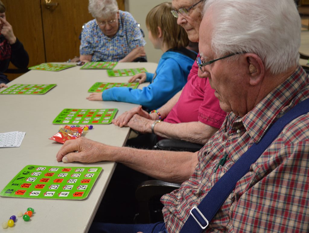 bingo 7