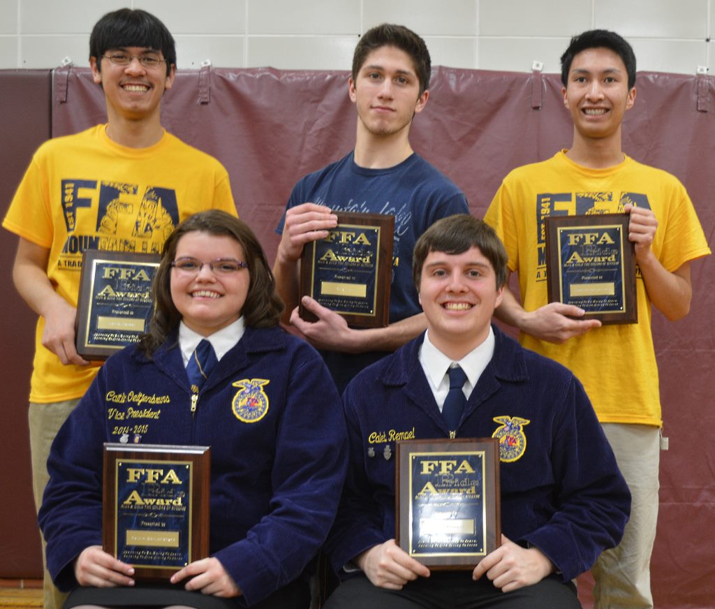 ffa 11