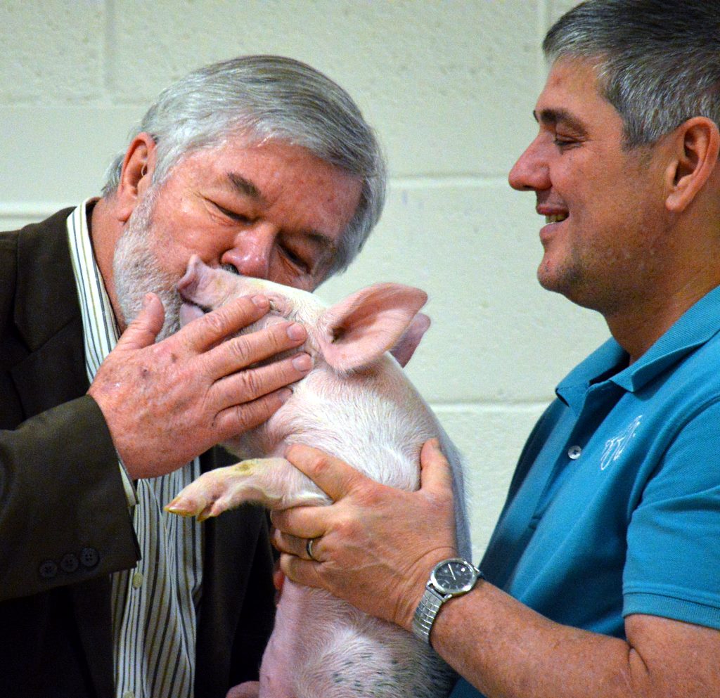 mlc pig 10