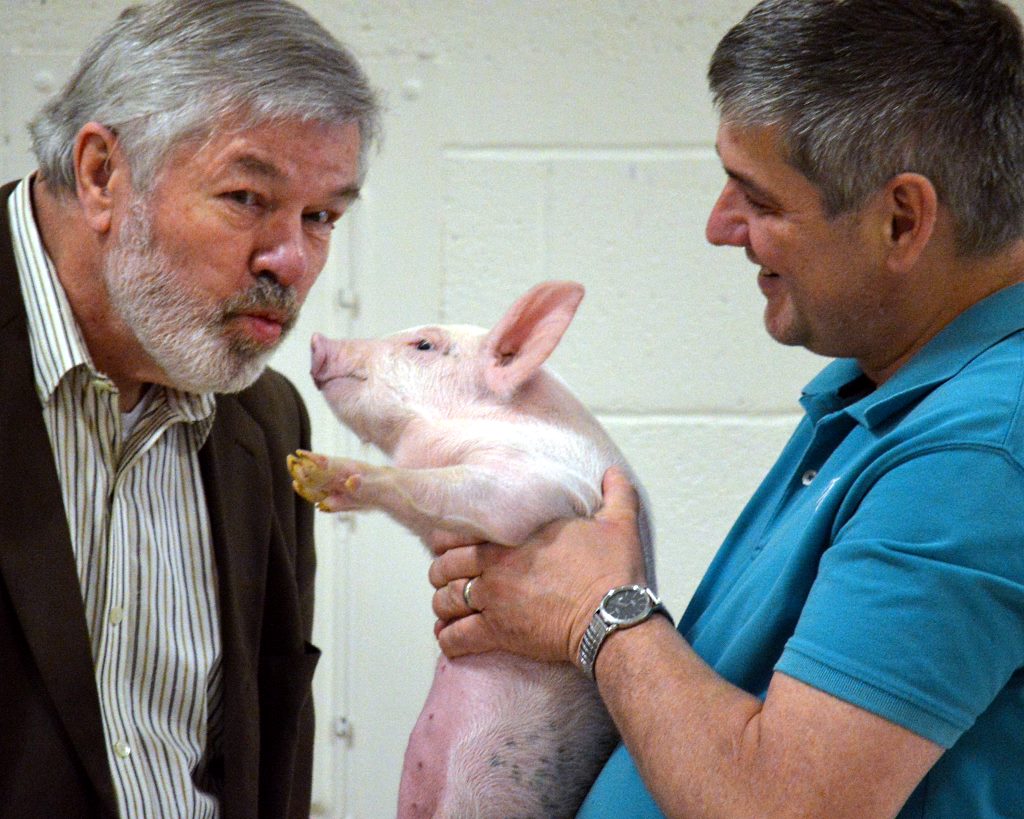 mlc pig 11