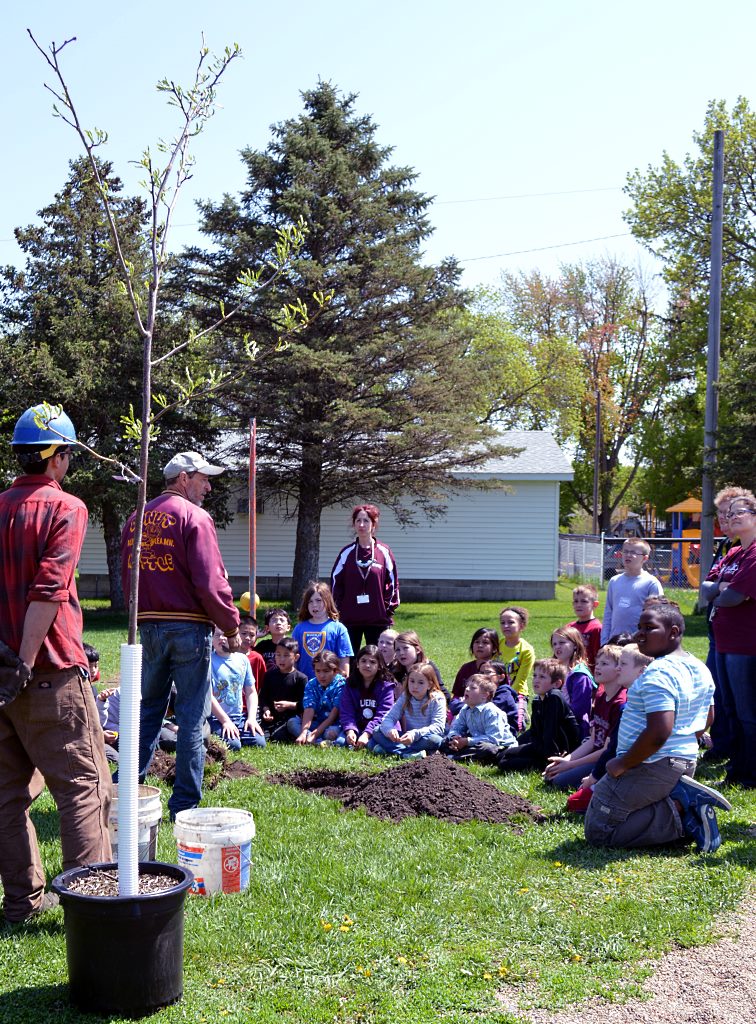 mles tree planting 2