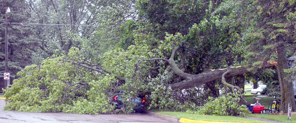 storm 1