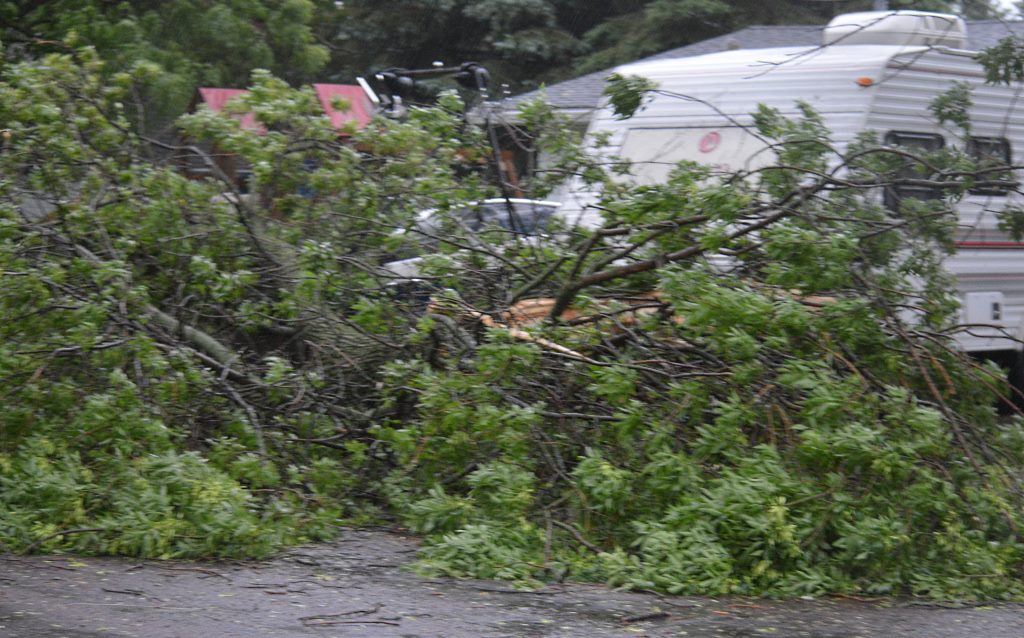 storm 11