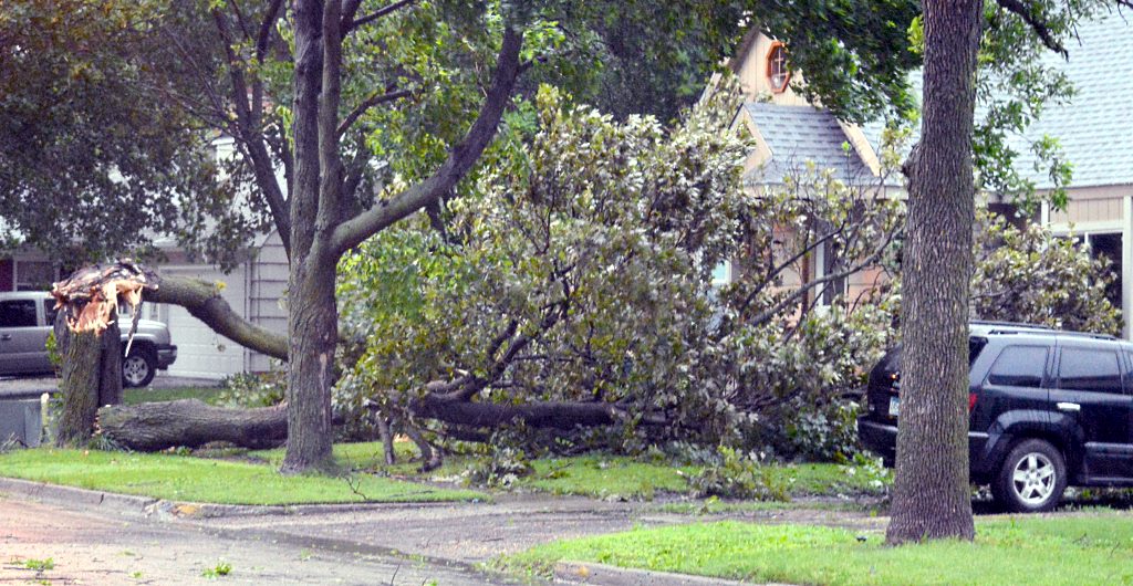 storm 2 2nd avenue