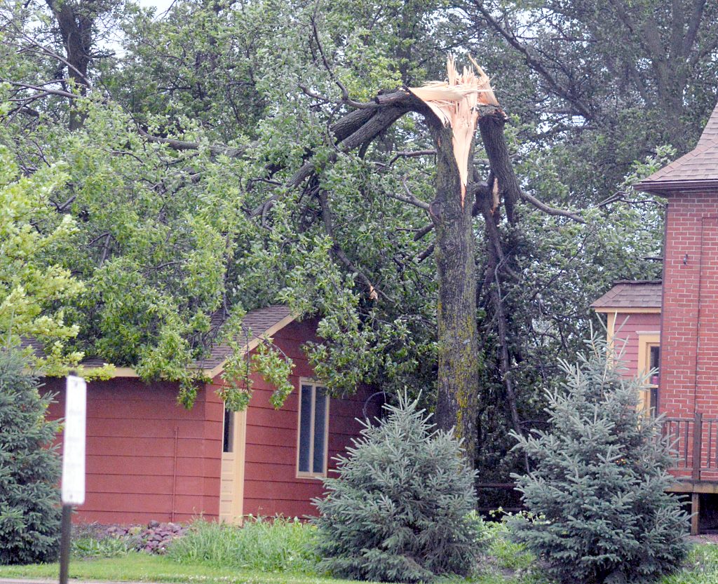 storm 4 klein street