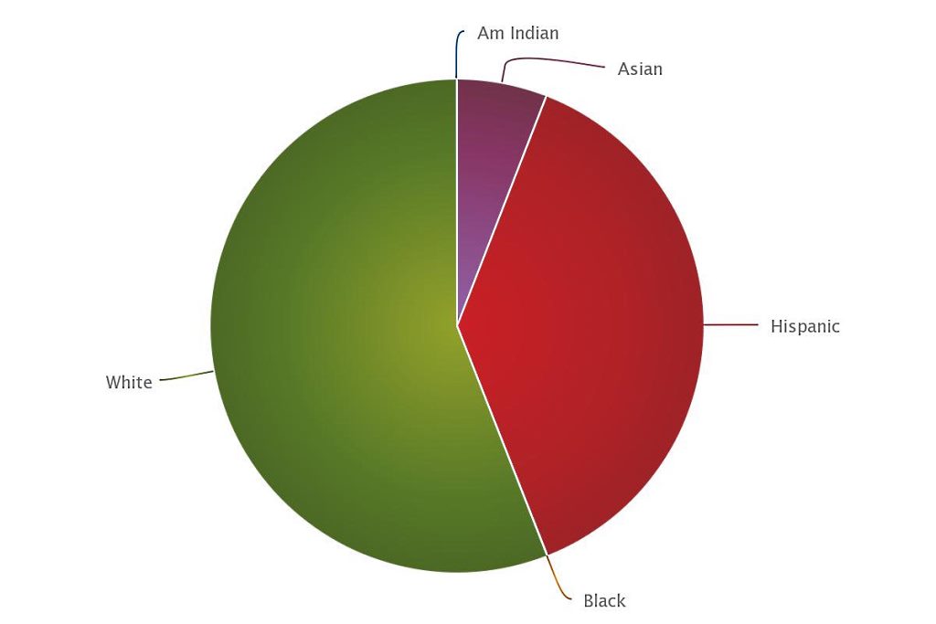 mca 2015 bohs demographics