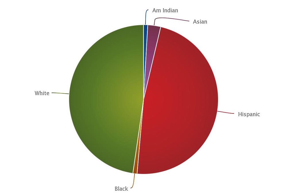 mca 2015 bops elem demographics