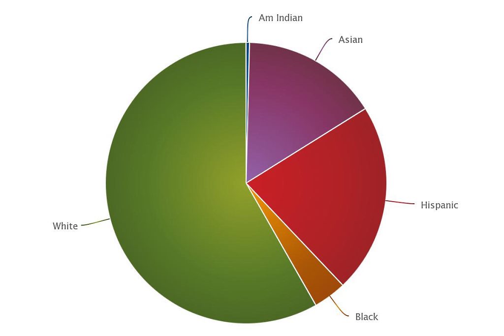 mca 2015 mles demographics