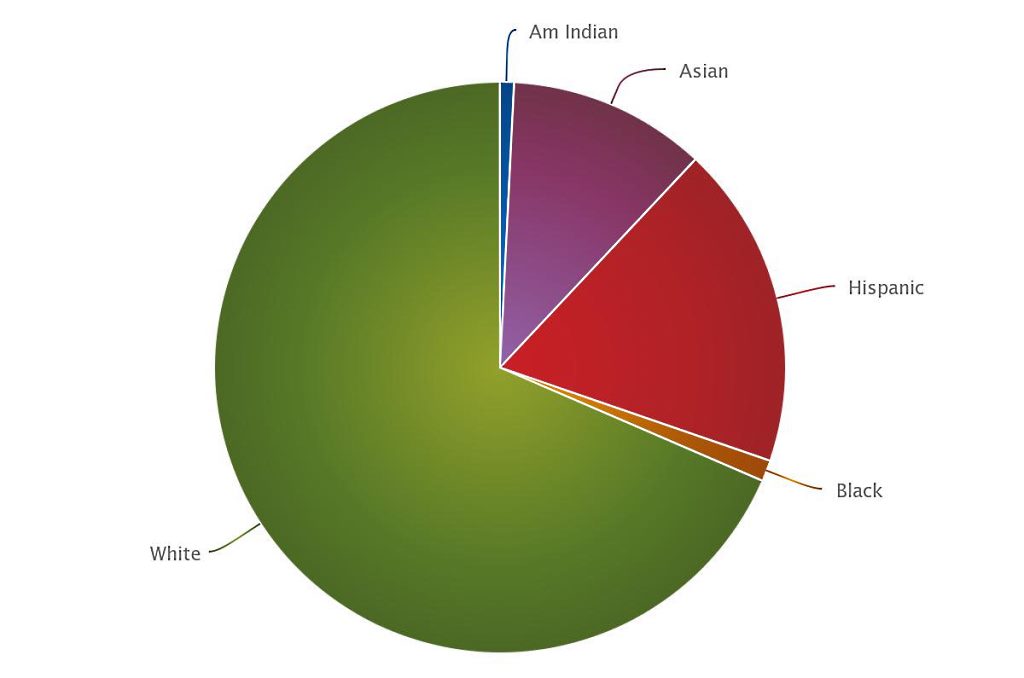 mca 2015 mlhs demographics