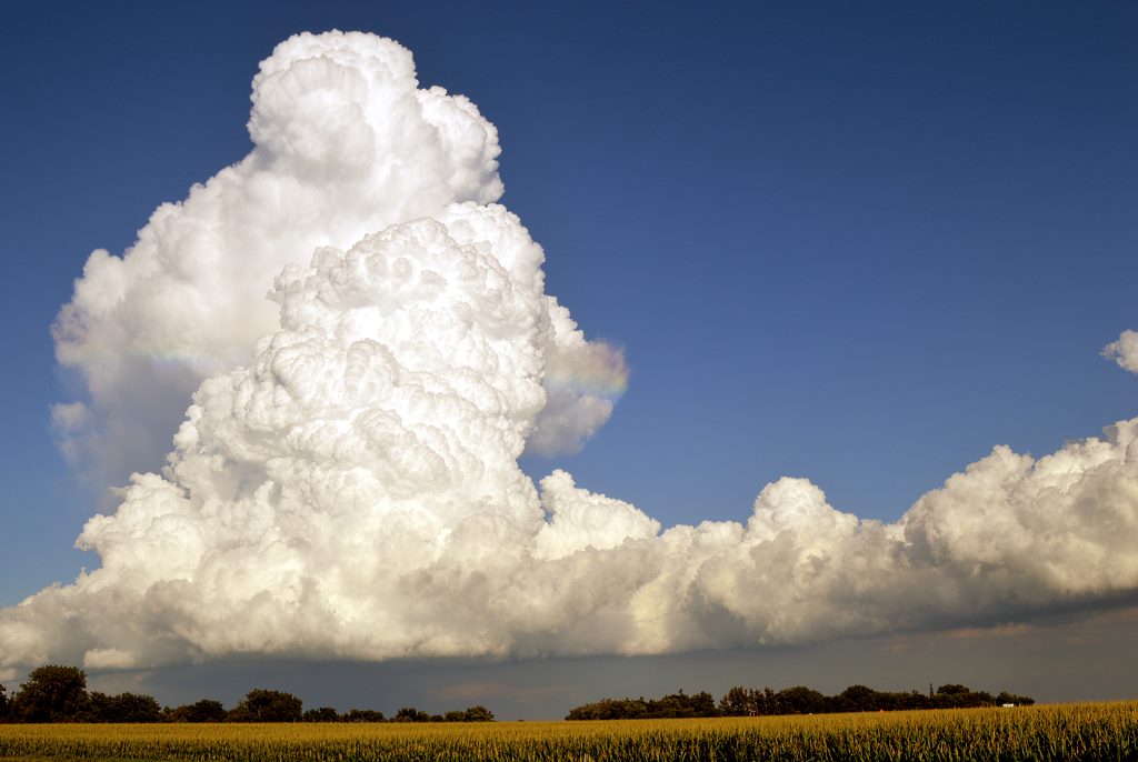 saunders 10 my cloud