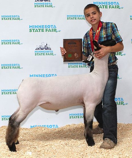 1087 Sheep Intermediate Market Showmanship Reserve Matthew Wiebe Cottonwood-L