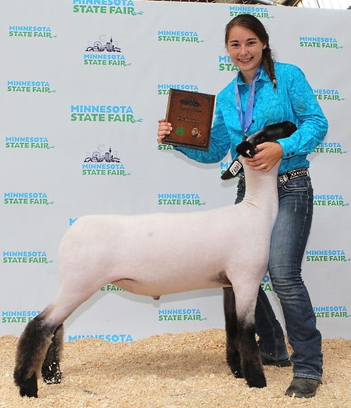 1088 Sheep Intermediate Market Showmanship Champion Megan Wiebe Cottonwood-L