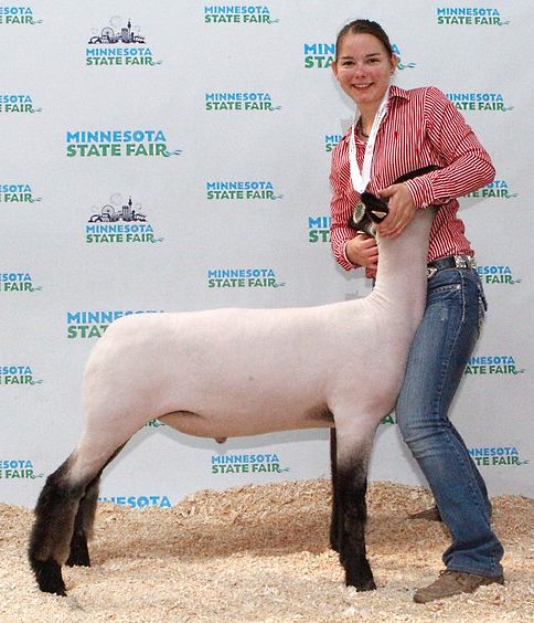 1126 Sheep Advanced Market Showmanship 3rd Overall Jessica Wiebe Cottonwood-L