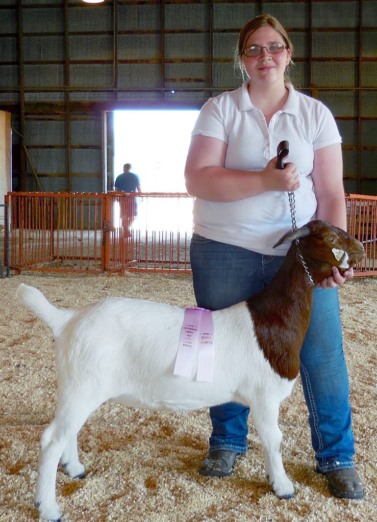 2015 cott co fair MLA FFA 4