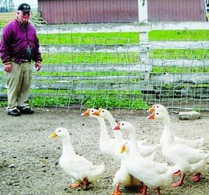 mel and ducks