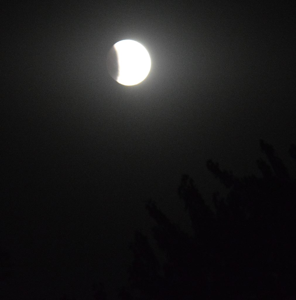 lunar moon 5