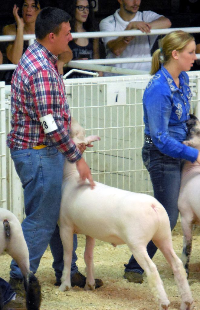 mla ffa 2015 state fair 4