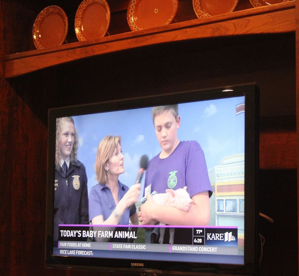 Friends...if you are going to the Minnesota State Fair our son Nathan will be working in the Miracle of Birth Barn. He was chosen to be there and will be working the full 2nd half of the fair which ends on Labor Day. Today he was on KARE 11 for a segment about the cute farm animals! Stop by and say hello!