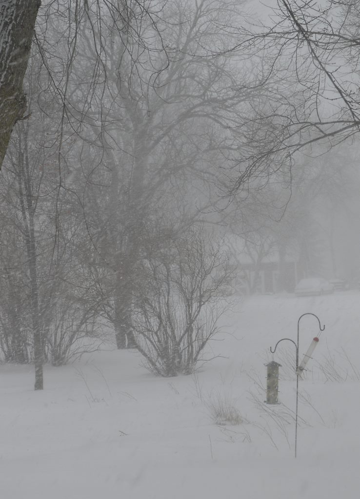 blizzard 1