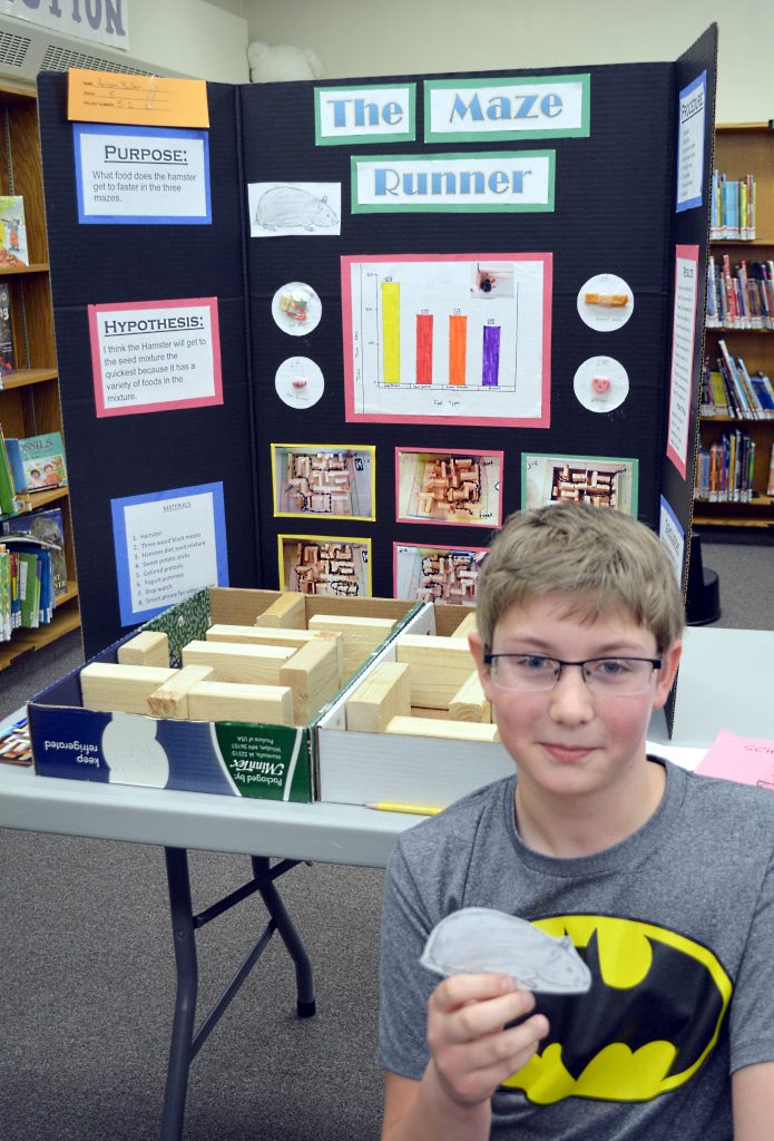 mles science fair 8