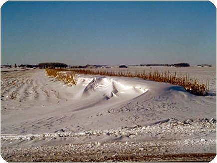 snowfence