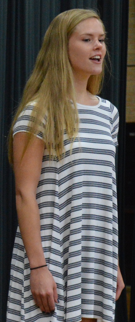 2016 mlhs fine arts 8
