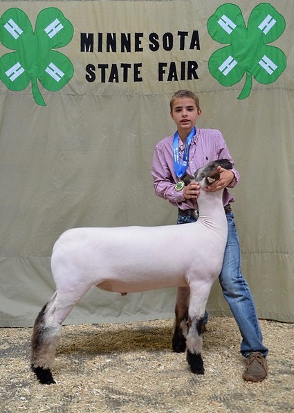 2016 state fair matthew wiebe 2