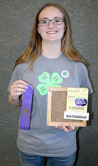 2016 state fair CropSciences Purple Brianna Ringen Watonwan-L