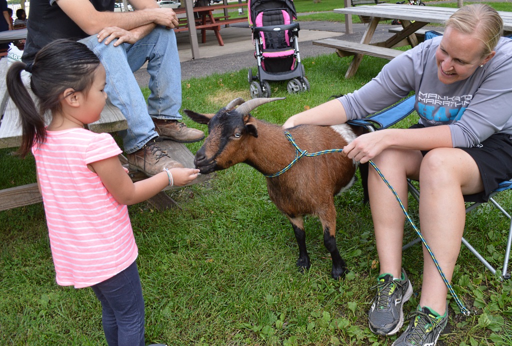 barnyard-2