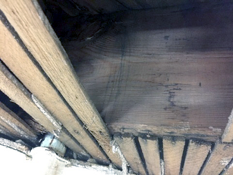 mlps-snyder-ceiling-joist