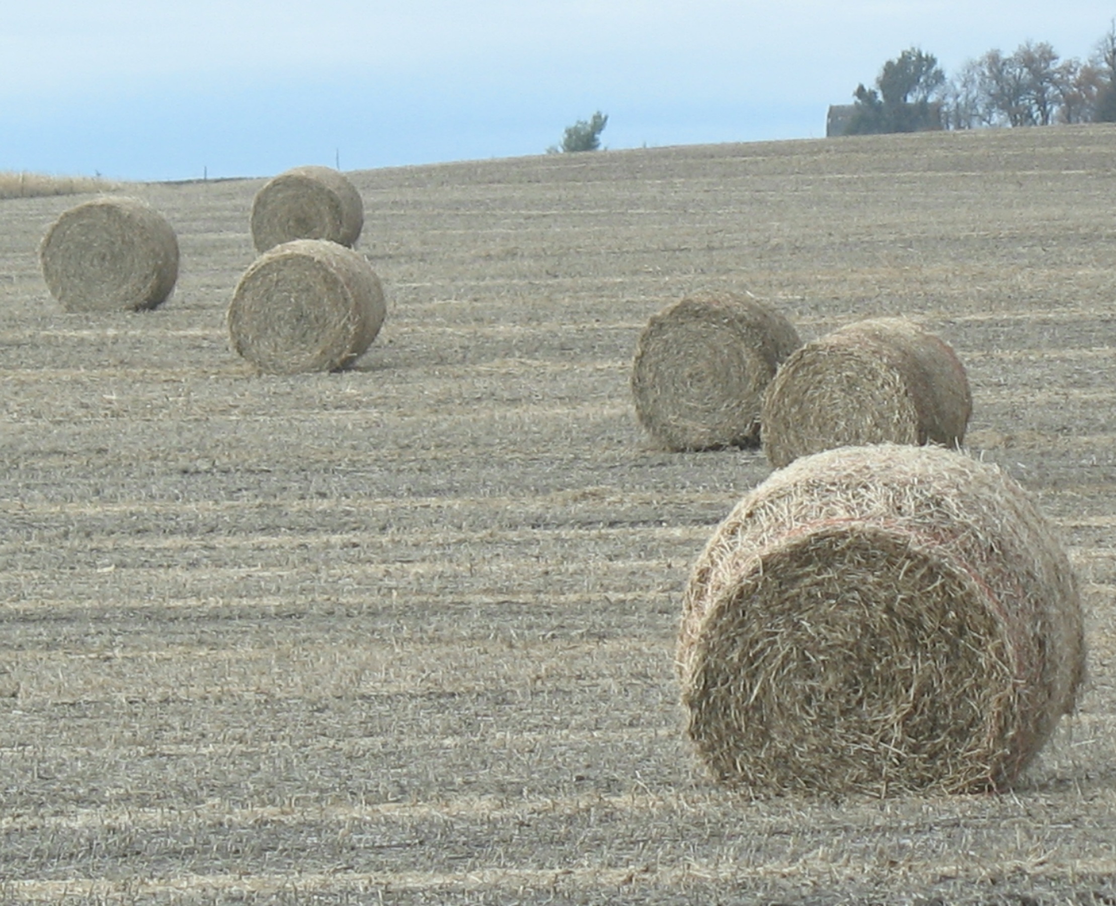 bales