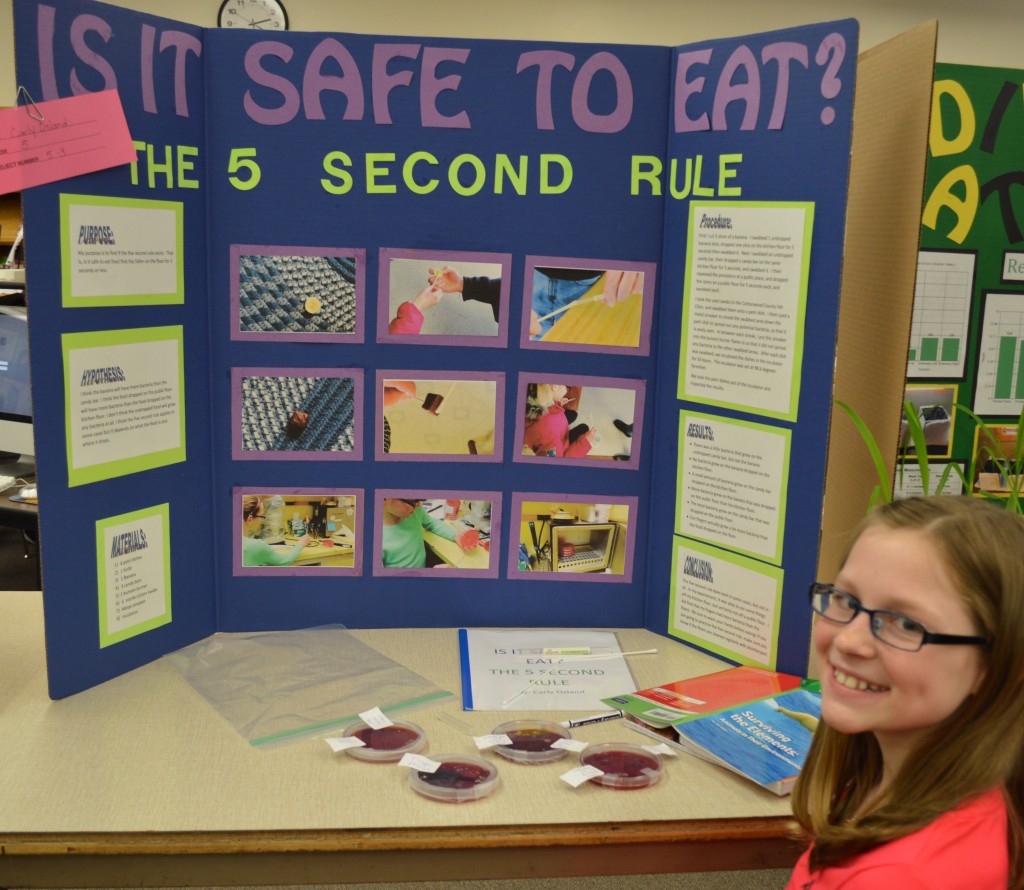 5 second rule science fair board