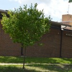 mountain lake public library