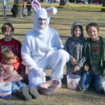 bunny feature