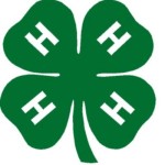 4Hlogo feature