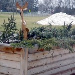 good sam christmas feature