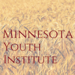minnesota youth institute