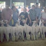2017 state fair FFA 3