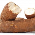 cassava